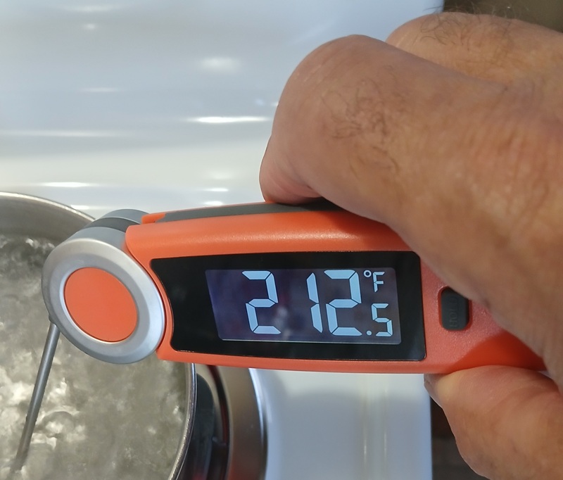 Chefstemp Final Touch X10  in boiling water